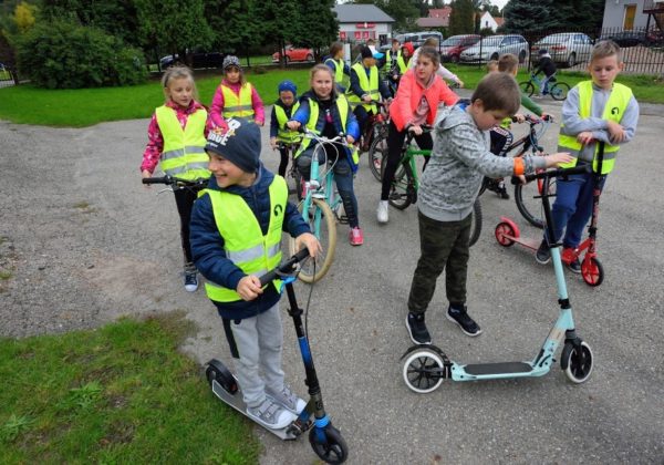 70579100 892766704430368 5165843018447585280 n