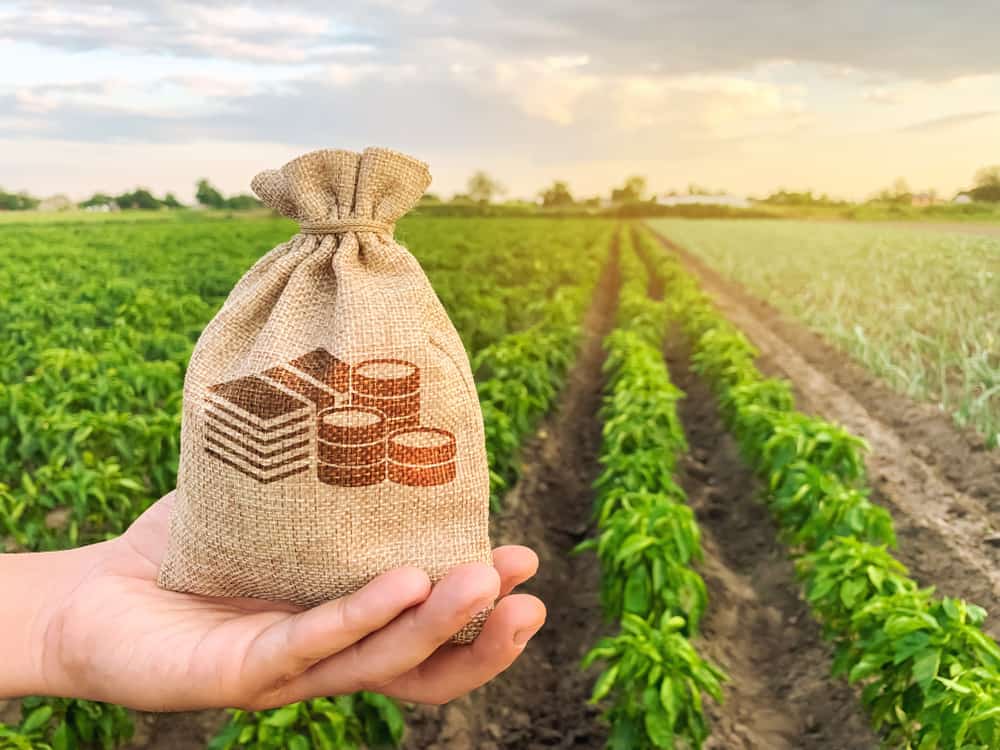 The,Farmer,Holds,A,Money,Bag,On,The,Background,Of