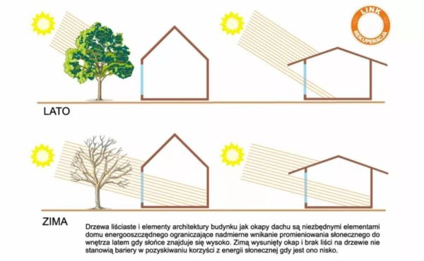 Schemat orientacji okien