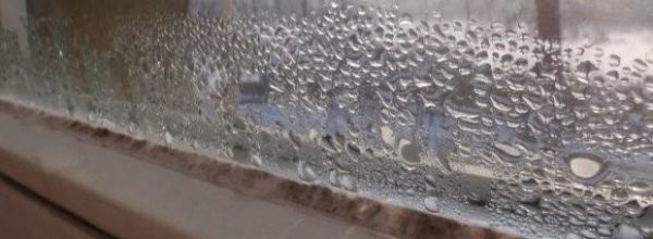 Wilgoć na oknie